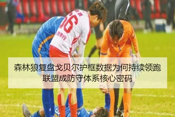 森林狼复盘戈贝尔护框数据为何持续领跑联盟成防守体系核心密码